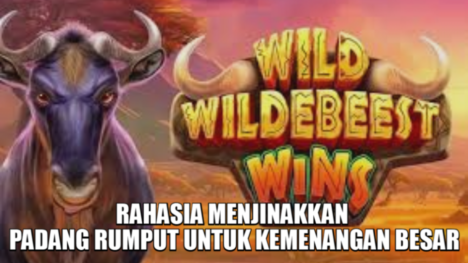 Tips Maxwin Wild Wildebeest Wins